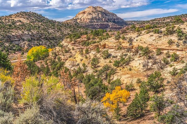 Perry, William 아티스트의 Colorful Autumn-Canyonlands National Park-Needles District-Utah작품입니다.